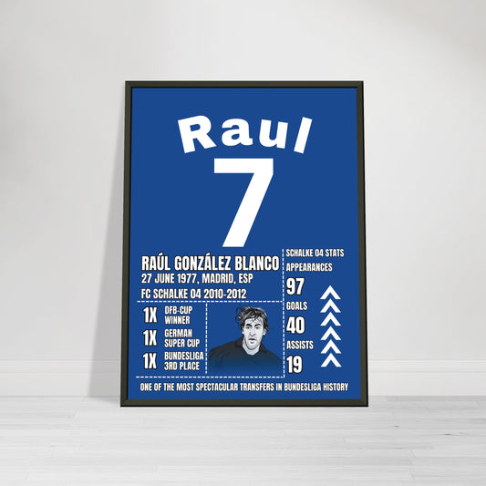 Raul FC Schalke 04 career